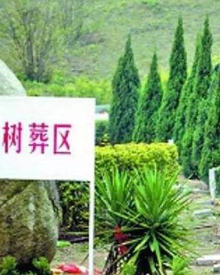 在蘇州,賣(mài)的比房子貴、沒(méi)有蘇州戶(hù)籍還不能買(mǎi),你知道是啥嗎…